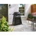 Weber Q 2200 N STAND PREMIUM | Plynový gril
