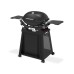 Weber Q 2200 N STAND PREMIUM | Plynový gril