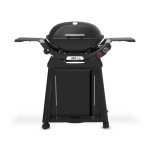 Weber Q 2800 N+ STAND PREMIUM | Plynový gril