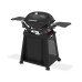 Weber Q 2800 N+ STAND PREMIUM | Plynový gril