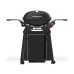 Weber Q 2800 N+ STAND PREMIUM | Plynový gril