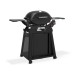 Weber Q 2800 N+ STAND PREMIUM | Plynový gril