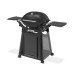 Weber Q 3200 N+ | Plynový gril