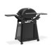 Weber Q 3200 N+ | Plynový gril