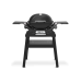 Weber Q 1200 N STAND | Plynový gril se stojanem
