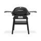 Weber Q 2200 N STAND | Plynový gril